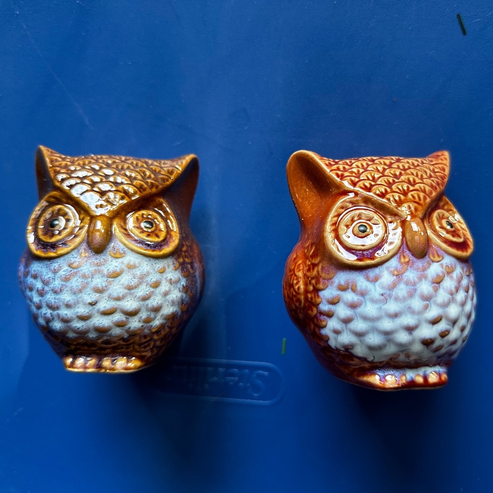 Ceramic Owl Figurines (Pair)